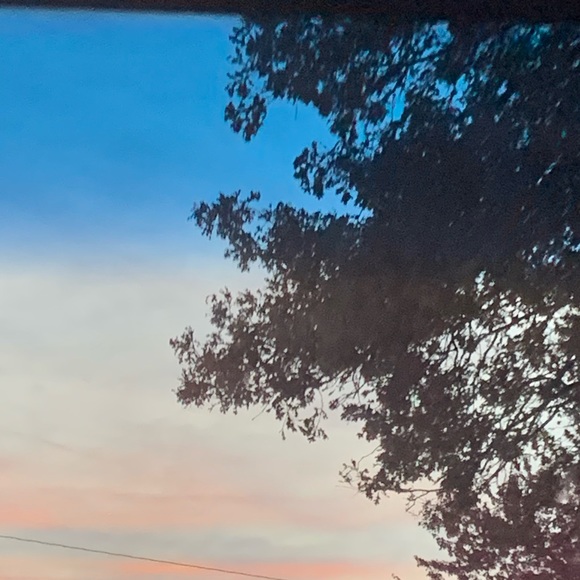 Meet your Posher, Hailey - Picture 1 of 1